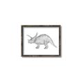 Picture of Baby Dino II _GroupedProduct_Rectangle_Landscape_Mini_ _GroupedProduct_Rectangle_Landscape_Canvas_Framed_