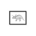 Picture of Baby Dino II _GroupedProduct_Rectangle_Landscape_Mini_ _GroupedProduct_Rectangle_Landscape_Canvas_Framed_
