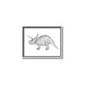 Picture of Baby Dino II _GroupedProduct_Rectangle_Landscape_Mini_ _GroupedProduct_Rectangle_Landscape_Canvas_Framed_