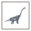 Picture of Gray Dino XIII _GroupedProduct_Square_Mini_ _GroupedProduct_Square_Canvas_Framed_