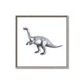 Picture of Gray Dino I  _GroupedProduct_Square_Mini_ _GroupedProduct_Square_Canvas_Framed_