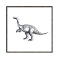 Picture of Gray Dino I  _GroupedProduct_Square_Mini_ _GroupedProduct_Square_Canvas_Framed_