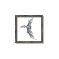 Picture of Gray Dino IX _GroupedProduct_Square_Mini_ _GroupedProduct_Square_Canvas_Framed_