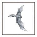 Picture of Gray Dino IX _GroupedProduct_Square_Mini_ _GroupedProduct_Square_Canvas_Framed_