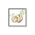 Picture of Swinging Sloth I  _GroupedProduct_Square_Mini_ _GroupedProduct_Square_Canvas_Framed_