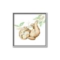 Picture of Swinging Sloth I  _GroupedProduct_Square_Mini_ _GroupedProduct_Square_Canvas_Framed_