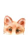Picture of Pop up Fox _GroupedProduct_Rectangle_Portrait_Mini_ _GroupedProduct_Rectangle_Portrait_Unframed_Print_Only_