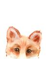 Picture of Pop up Fox _GroupedProduct_Rectangle_Portrait_Mini_ _GroupedProduct_Rectangle_Portrait_Unframed_Print_Only_