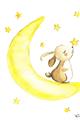 Picture of Little Bunny on the Moon _GroupedProduct_Rectangle_Portrait_Mini_ _GroupedProduct_Rectangle_Portrait_Unframed_Print_Only_