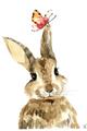 Picture of Butterfly Bunny _GroupedProduct_Rectangle_Portrait_Mini_ _GroupedProduct_Rectangle_Portrait_Unframed_Print_Only_
