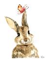 Picture of Butterfly Bunny _GroupedProduct_Rectangle_Portrait_Mini_ _GroupedProduct_Rectangle_Portrait_Unframed_Print_Only_