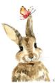 Picture of Butterfly Bunny _GroupedProduct_Rectangle_Portrait_Mini_ _GroupedProduct_Rectangle_Portrait_Unframed_Print_Only_