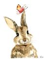 Picture of Butterfly Bunny _GroupedProduct_Rectangle_Portrait_Mini_ _GroupedProduct_Rectangle_Portrait_Unframed_Print_Only_