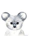 Picture of Koala Face _GroupedProduct_Rectangle_Portrait_Mini_ _GroupedProduct_Rectangle_Portrait_Unframed_Print_Only_