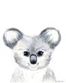 Picture of Koala Face _GroupedProduct_Rectangle_Portrait_Mini_ _GroupedProduct_Rectangle_Portrait_Unframed_Print_Only_