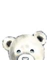 Picture of Pop up Bear Gray _GroupedProduct_Rectangle_Portrait_Mini_ _GroupedProduct_Rectangle_Portrait_Unframed_Print_Only_