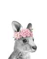 Picture of Kangaroo with floral _GroupedProduct_Rectangle_Portrait_Mini_ _GroupedProduct_Rectangle_Portrait_Unframed_Print_Only_
