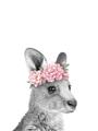 Picture of Kangaroo with floral _GroupedProduct_Rectangle_Portrait_Mini_ _GroupedProduct_Rectangle_Portrait_Unframed_Print_Only_