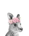 Picture of Kangaroo with floral _GroupedProduct_Rectangle_Portrait_Mini_ _GroupedProduct_Rectangle_Portrait_Unframed_Print_Only_