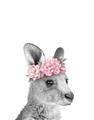 Picture of Kangaroo with floral _GroupedProduct_Rectangle_Portrait_Mini_ _GroupedProduct_Rectangle_Portrait_Unframed_Print_Only_