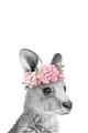 Picture of Kangaroo with floral _GroupedProduct_Rectangle_Portrait_Mini_ _GroupedProduct_Rectangle_Portrait_Unframed_Print_Only_
