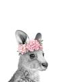 Picture of Kangaroo with floral _GroupedProduct_Rectangle_Portrait_Mini_ _GroupedProduct_Rectangle_Portrait_Unframed_Print_Only_
