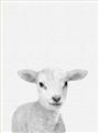 Picture of Farmhouse Sheep _GroupedProduct_Rectangle_Portrait_Mini_ _GroupedProduct_Rectangle_Portrait_Unframed_Print_Only_
