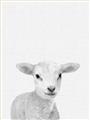 Picture of Farmhouse Sheep _GroupedProduct_Rectangle_Portrait_Mini_ _GroupedProduct_Rectangle_Portrait_Unframed_Print_Only_