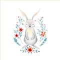 Picture of Wild Bunny _GroupedProduct_Square_Mini_ _GroupedProduct_Square_Unframed_Print_Only_