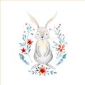 Picture of Wild Bunny _GroupedProduct_Square_Mini_ _GroupedProduct_Square_Unframed_Print_Only_