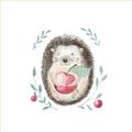 Picture of Wild Hedgehog _GroupedProduct_Square_Mini_ _GroupedProduct_Square_Unframed_Print_Only_