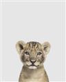 Picture of Baby Lion _GroupedProduct_Rectangle_Portrait_Mini_ _GroupedProduct_Rectangle_Portrait_Unframed_Print_Only_