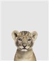 Picture of Baby Lion _GroupedProduct_Rectangle_Portrait_Mini_ _GroupedProduct_Rectangle_Portrait_Unframed_Print_Only_