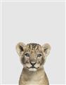 Picture of Baby Lion _GroupedProduct_Rectangle_Portrait_Mini_ _GroupedProduct_Rectangle_Portrait_Unframed_Print_Only_