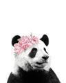 Picture of Flower Crown Panda _GroupedProduct_Rectangle_Portrait_Mini_ _GroupedProduct_Rectangle_Portrait_Unframed_Print_Only_