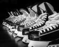 Picture of Pairs of Hockey Skates _GroupedProduct_Rectangle_Landscape_Mini_ _GroupedProduct_Rectangle_Landscape_Unframed_Print_Only_
