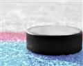 Picture of Hockey Puck  _GroupedProduct_Rectangle_Landscape_Mini_ _GroupedProduct_Rectangle_Landscape_Unframed_Print_Only_