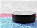 Picture of Hockey Puck  _GroupedProduct_Rectangle_Landscape_Mini_ _GroupedProduct_Rectangle_Landscape_Unframed_Print_Only_