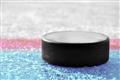Picture of Hockey Puck  _GroupedProduct_Rectangle_Landscape_Mini_ _GroupedProduct_Rectangle_Landscape_Unframed_Print_Only_