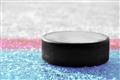 Picture of Hockey Puck  _GroupedProduct_Rectangle_Landscape_Mini_ _GroupedProduct_Rectangle_Landscape_Unframed_Print_Only_
