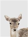 Picture of Deer   _GroupedProduct_Rectangle_Portrait_Mini_ _GroupedProduct_Rectangle_Portrait_Unframed_Print_Only_