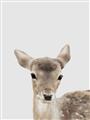 Picture of Deer   _GroupedProduct_Rectangle_Portrait_Mini_ _GroupedProduct_Rectangle_Portrait_Unframed_Print_Only_