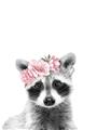 Picture of Flower Crown Raccoon _GroupedProduct_Rectangle_Portrait_Mini_ _GroupedProduct_Rectangle_Portrait_Unframed_Print_Only_