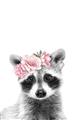 Picture of Flower Crown Raccoon _GroupedProduct_Rectangle_Portrait_Mini_ _GroupedProduct_Rectangle_Portrait_Unframed_Print_Only_