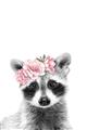 Picture of Flower Crown Raccoon _GroupedProduct_Rectangle_Portrait_Mini_ _GroupedProduct_Rectangle_Portrait_Unframed_Print_Only_