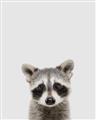 Picture of Peekaboo Raccoon _GroupedProduct_Rectangle_Portrait_Mini_ _GroupedProduct_Rectangle_Portrait_Unframed_Print_Only_