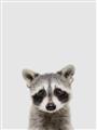 Picture of Peekaboo Raccoon _GroupedProduct_Rectangle_Portrait_Mini_ _GroupedProduct_Rectangle_Portrait_Unframed_Print_Only_