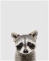 Picture of Peekaboo Raccoon _GroupedProduct_Rectangle_Portrait_Mini_ _GroupedProduct_Rectangle_Portrait_Unframed_Print_Only_
