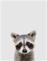 Picture of Peekaboo Raccoon _GroupedProduct_Rectangle_Portrait_Mini_ _GroupedProduct_Rectangle_Portrait_Unframed_Print_Only_