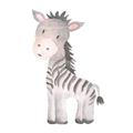 Picture of Baby Zebra  _GroupedProduct_Square_Mini_ _GroupedProduct_Square_Unframed_Print_Only_